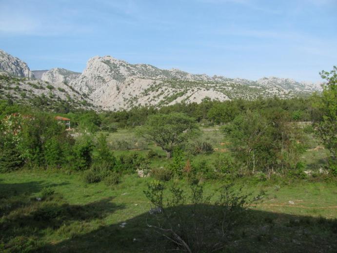 Paklina Apartments Starigrad Exterior photo